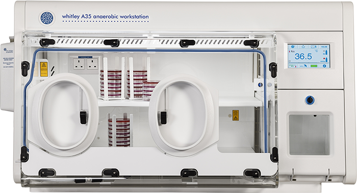 Workstation Don Whitley per attività in atmosfera controllata