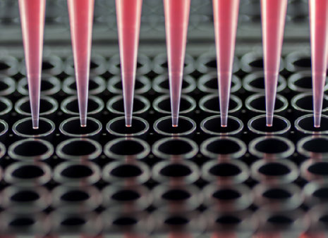 Dispensazione multicanale delle soluzioni nella piastra di verifica MVS