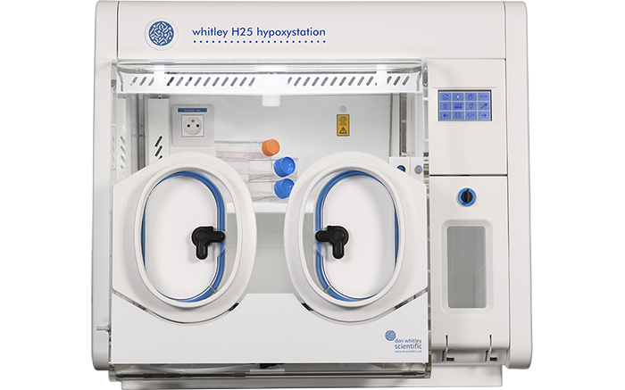 Cabina ipossica o incubatore a CO2? Parti dalle operazioni sulle cellule